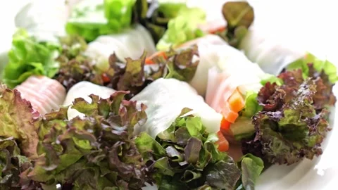 Fresh Salad Vegetable Spring Rolls with Lettuce, Carrot, Cucumber, and Cabbage Video stock 346328014