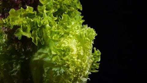Fresh salads close up, rotating to the left on black background with side center Stock Footage 78346902