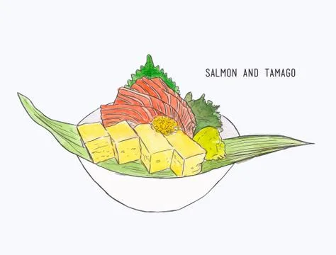 Fresh salmon and egg roll sashimi , hand draw water color sketch , food vecto Stock Illustration