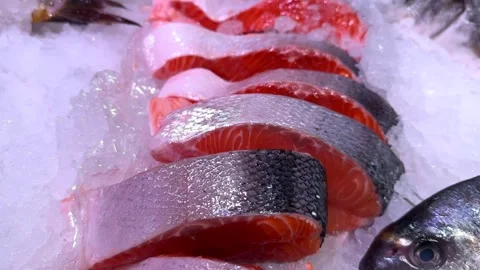 Fresh Salmon Fillets on Ice Display at Seafood Market Stock Footage 334314387