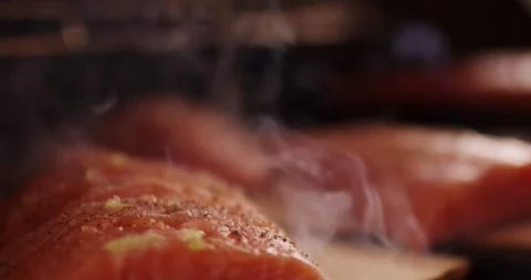 Fresh Salmon Fillets Smoking On Cedar Plank, Barbecue Grill, Close Up Shot Stock-Footage 340320709