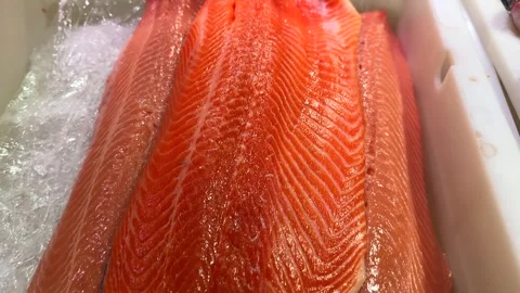 Fresh Salmon Fillets in White Container at Market Stock Footage 332556394