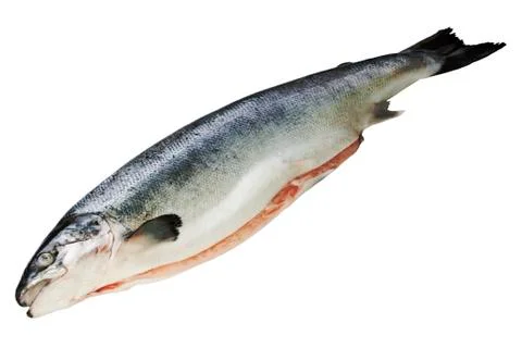 Fresh salmon Stock Photos