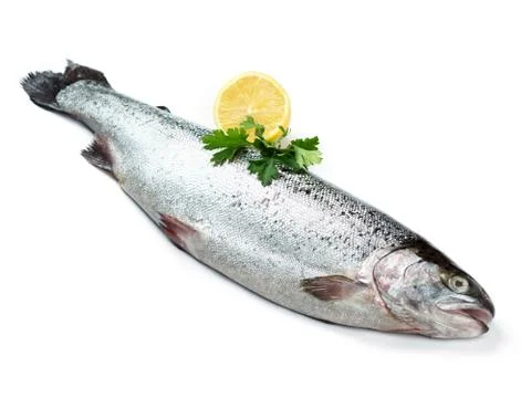 Fresh salmon Stock Photos