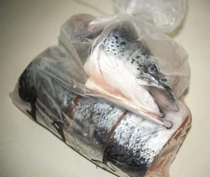 Fresh salmon Stock Photos