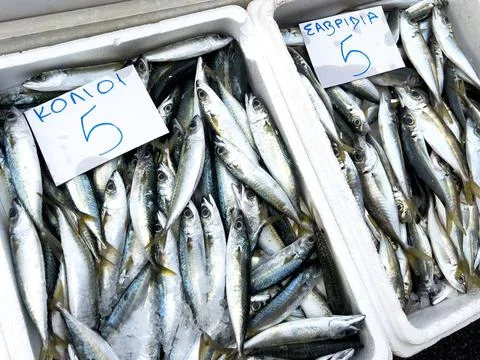 Fresh sardines packed in ice at local market stall Stock Photos