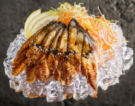 Fresh sashimi on ice Stock Photos