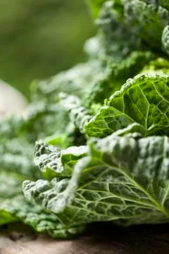 Fresh Savoy Cabbage; Close Up Foto stock
