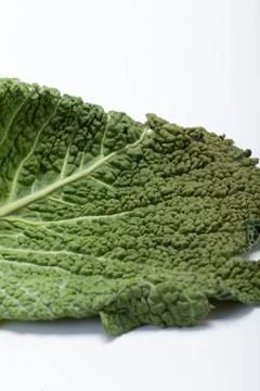 Fresh savoy cabbage leaf as a texture Stock Photos