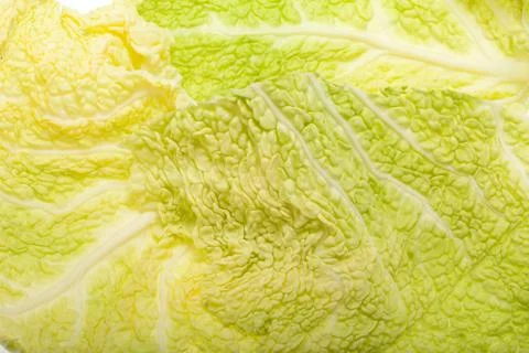 Fresh savoy cabbage leaf as a texture Stock Photos