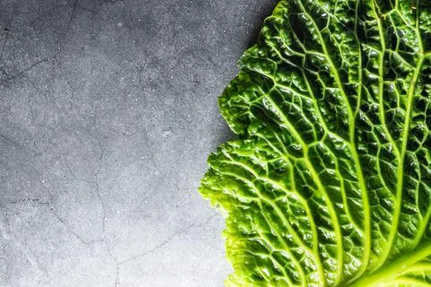 Fresh savoy cabbage leaf as a texture Stock Photos