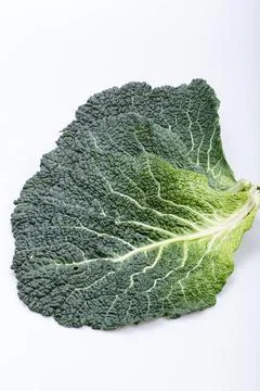 Fresh savoy cabbage leaf as a texture Stock Photos