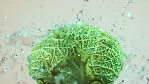 Fresh savoy cabbage with vibrant texture being washed by clean water in slo.. Stock Footage 327577458