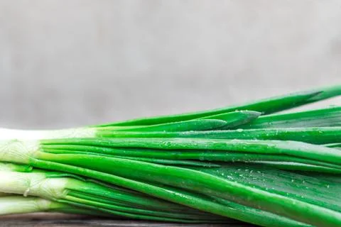 Fresh scallion on grey background Stock Photos
