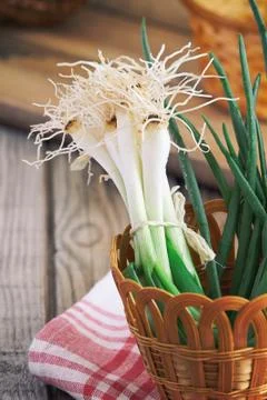 Fresh scallion with root ends Stock Photos