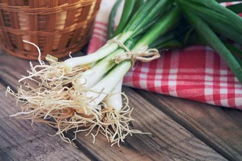 Fresh scallion with root ends Stock Photos
