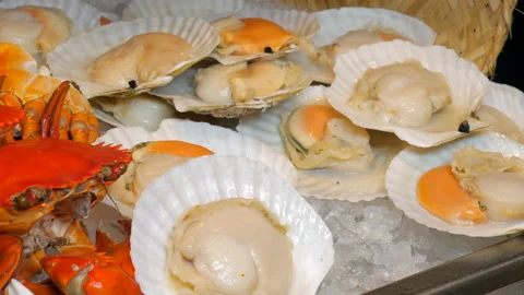 Fresh scallops on seashell and boiled crabs lying on ice in luxury restaurant Stock Footage 237071907