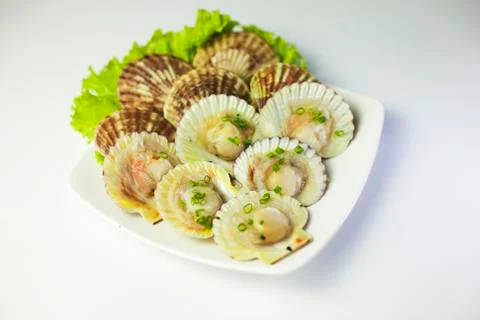 Fresh scallops shell with lettuce on white plate Stock Photos