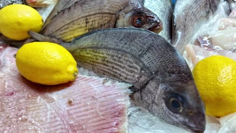 Fresh Sea Bream And Lemons On Ice At Fish Market Stock Footage 322193258