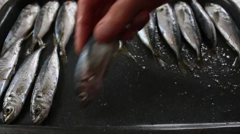 Fresh sea fish on a baking sheet 1 Vídeo Stock 48539282