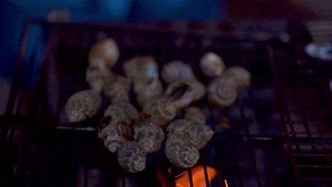 Fresh Sea shell grill with fire and smok... | Stock Video | Pond5