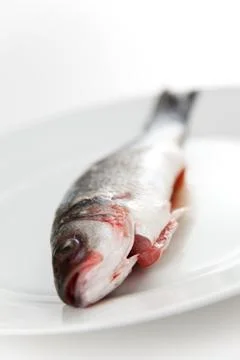 Fresh seabass Stock Photos
