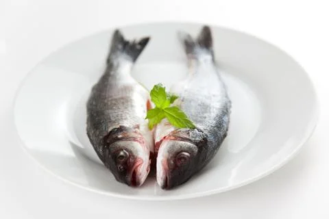 Fresh seabass Stock Photos
