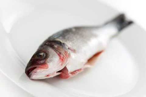 Fresh seabass Stock Photos