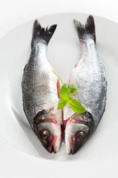 Fresh seabass Stock Photos