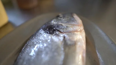 Fresh seabream fish on plate Stock Footage 129162606