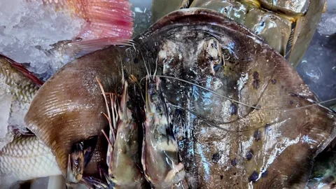 Fresh Seafood and Flatfish on Ice at Thai Market Stall Stock Footage 336264488
