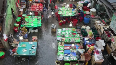 Fresh Seafood and Local Commerce at the Busy Pasar Minggu Traditional Market Stock Footage 340016818