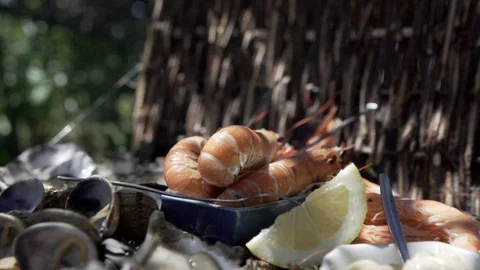 Fresh seafood close up Stock Footage 95937768