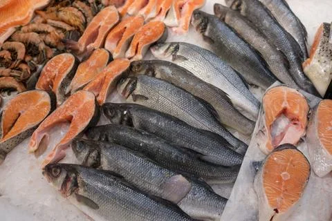Fresh Seafood Display Featuring Various Types of Fish and Shellfish at a Market Stock Photos