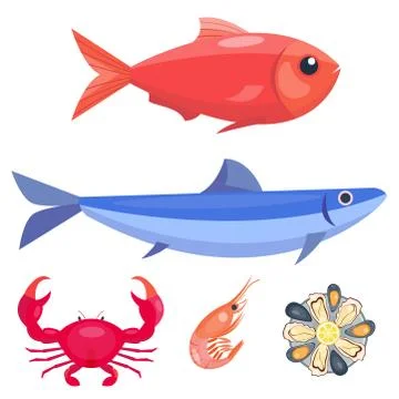 Fresh seafood flat vector illustration fish gourmet delicious restaurant cooking Stock Illustration