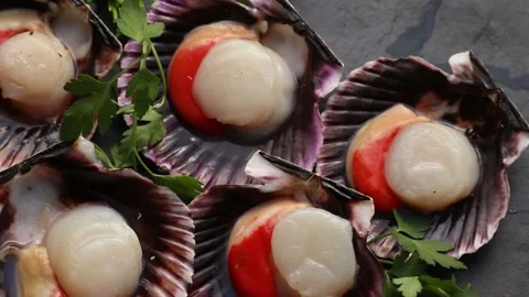 Fresh seafood, freshly opened raw Galician scallops Stock Footage 205932334