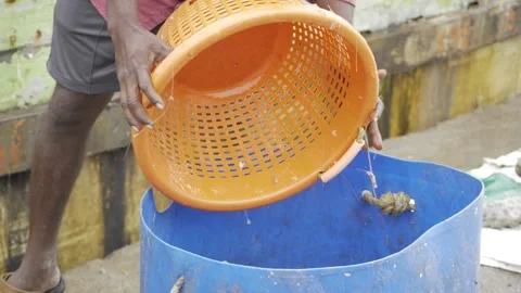 Fresh Seafood - Hand-Pulled from the Bountiful Ocean Stock Footage 320948865
