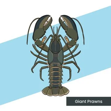 Fresh Seafood Ocean Creature Design for Culinary Menus and Marine Graphics Stock Illustration