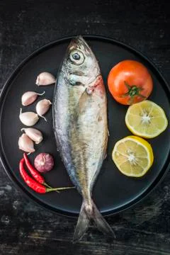 Fresh Seafood Stock-Fotos