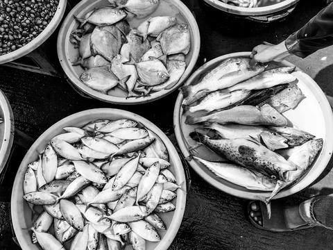 Fresh seafood Stock Photos