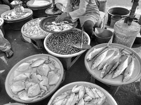 Fresh seafood Stock Photos