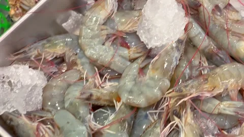 Fresh seafood selection displayed on ice at market Vidéo 340480149