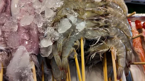 Fresh Seafood Selection on Ice with Squid Octopus and Shrimp at Market Stock Footage 337227978