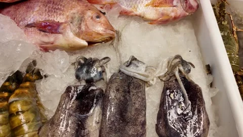 Fresh Seafood Selection on Ice at a Thai Market Vídeos de archivo 342942106