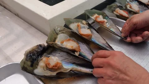 Fresh seafood sorting and arrangement on metallic trays at a market Stock Footage 345510822