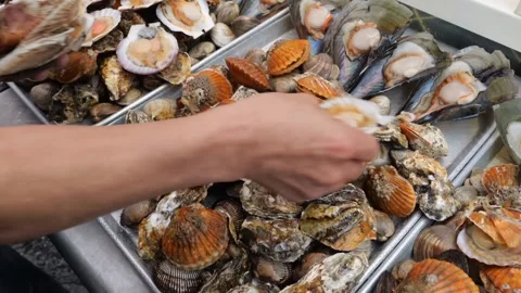 Fresh seafood sorting process involving scallops and clams on trays Stock Footage 345510879