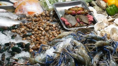 Fresh Seafood on the stall Stock Footage 115100930