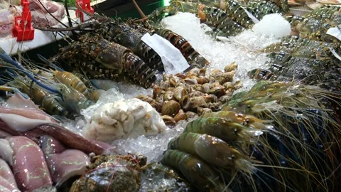 Fresh seafood on the stall Stock Footage 254072228