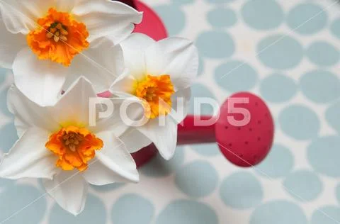 Fresh seasonal flowers on a table decoration Stock Photos