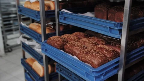 Fresh Seeded Rye Loaves Bread On Blue Trays. Bakery production Stock Footage 321808558